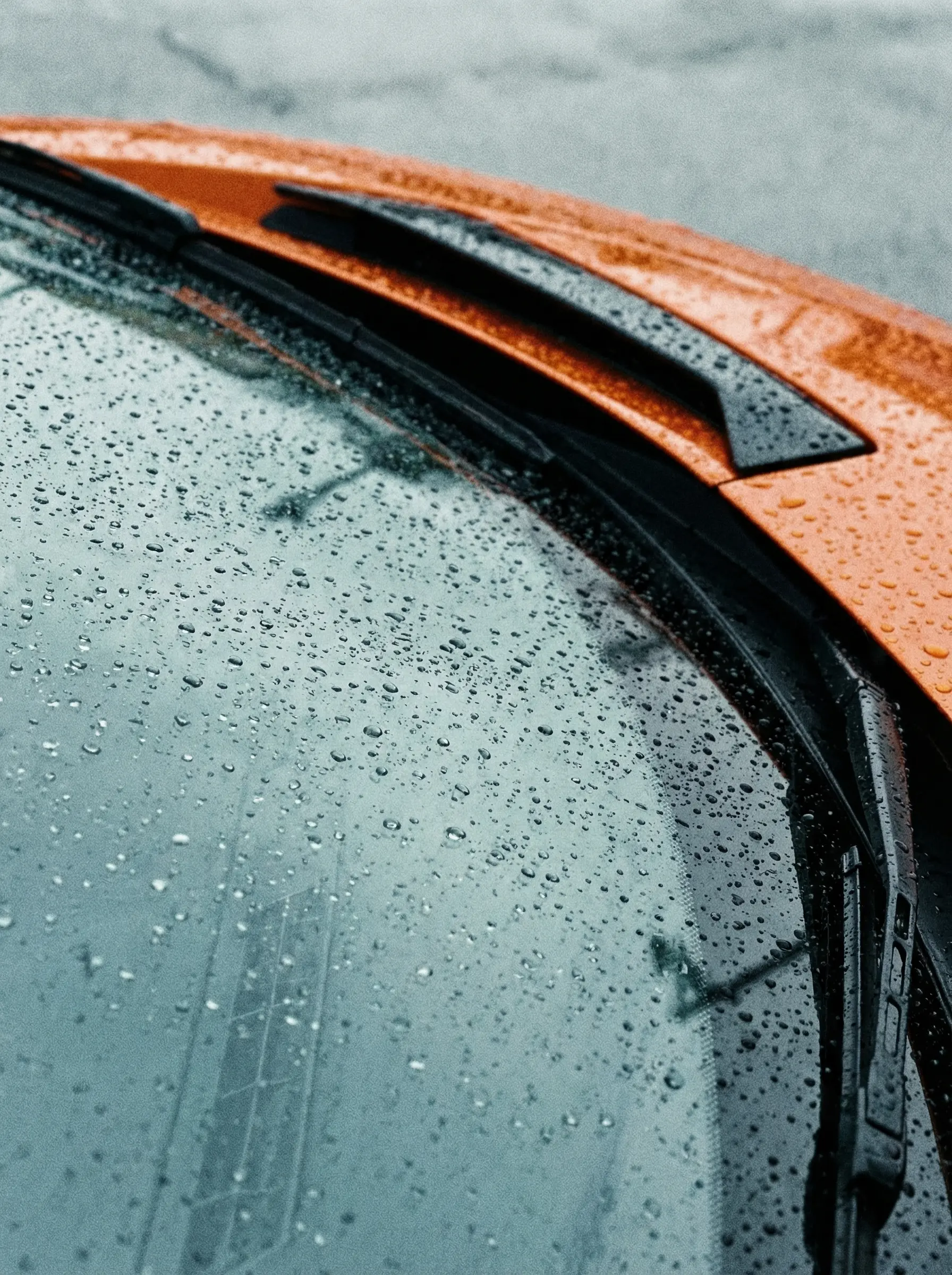 Crystal Vision Windshield Skin