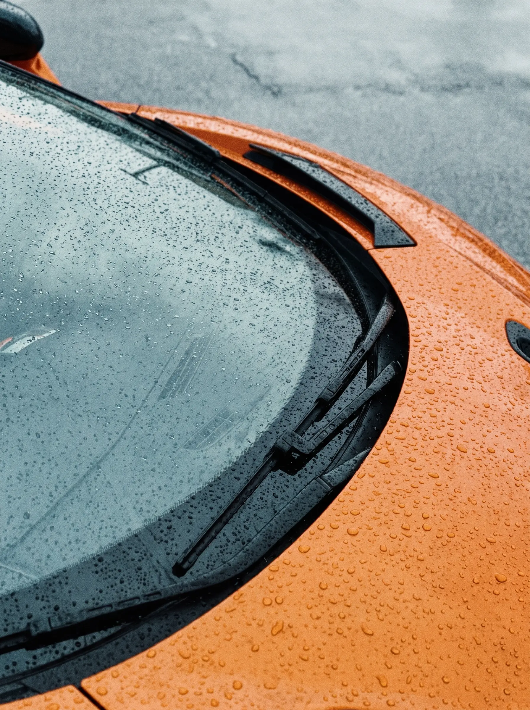 Crystal Vision™ Windshield Skin 1